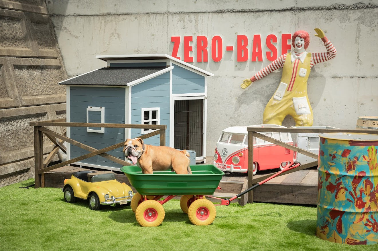 6:GROOVY DOG PARK